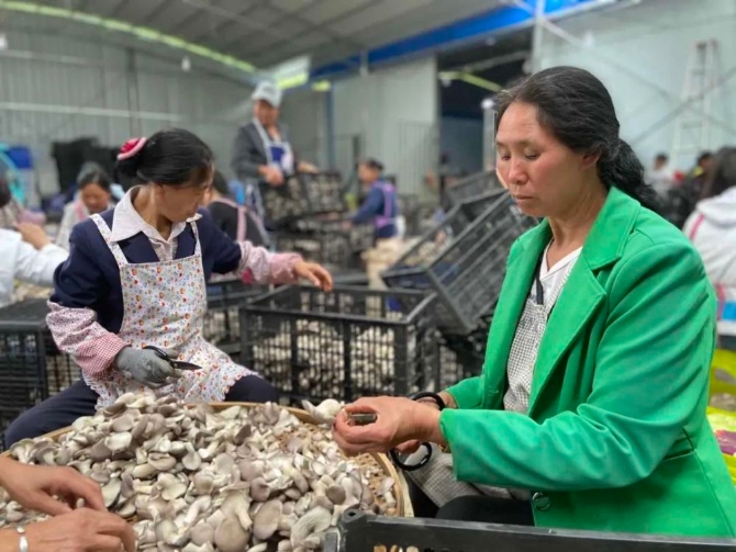 9dfa495b1a854edea83fbdb60070c225.jpeg@1000w_1e_1c_80Q_1x