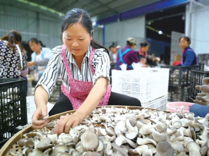 042d07817d5342338527abb4d6b3d88d.png@1000w_1e_1c_80Q_1x