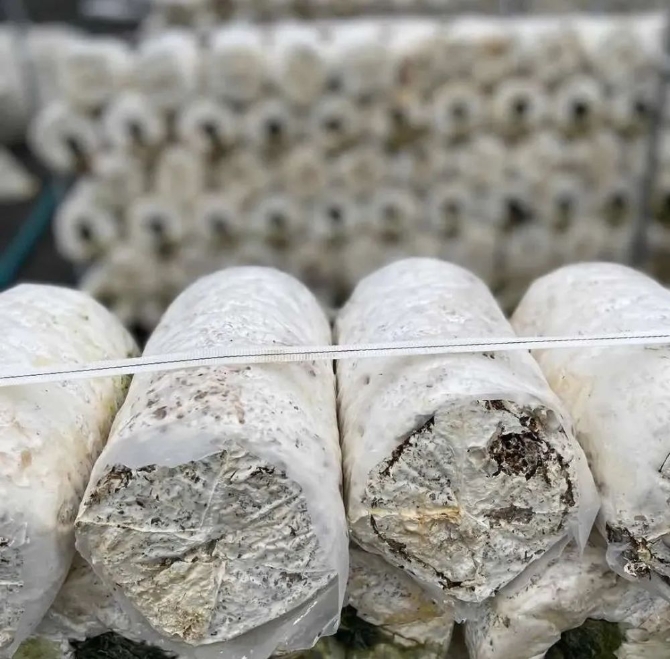 82377a9b7b8c4b22abdfcf5e3b34ed94.jpeg@1000w_1e_1c_80Q_1x