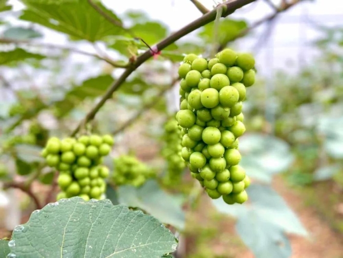 3a2dac7e8b3e418cbab1a3747a4bbb4b.jpeg@1000w_1e_1c_80Q_1x