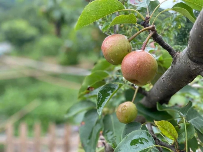 2446a7902c3d43f584a903077eb448cd.jpeg@1000w_1e_1c_80Q_1x