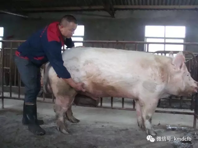 640.webp (1) 640.webp (1)