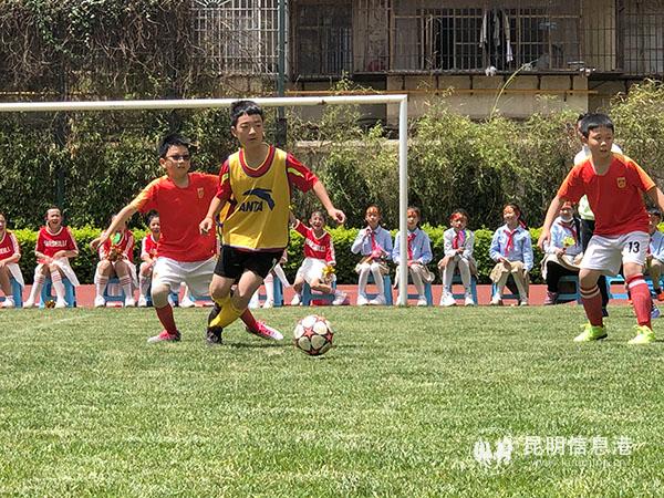 激烈的比賽中。記者上官艷君攝2