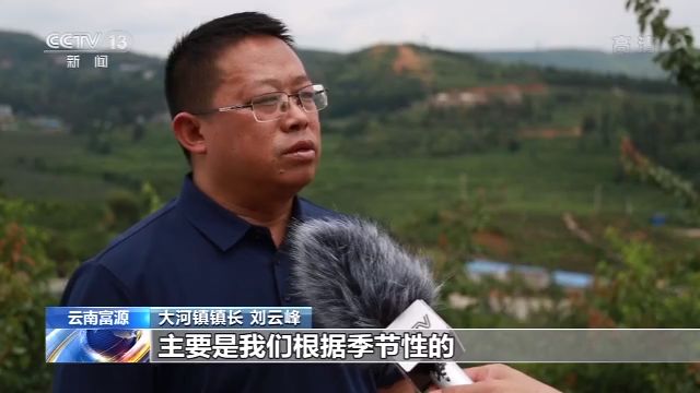 云南礦采荒山披新綠 生態(tài)修復(fù)富農(nóng)家