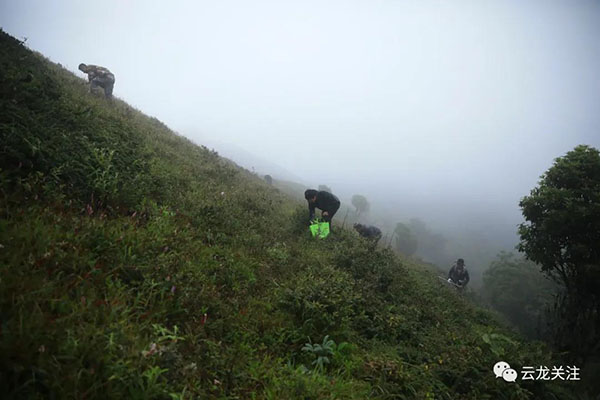 微信圖片_20200707161730