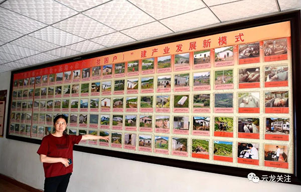 微信圖片_20200707151509