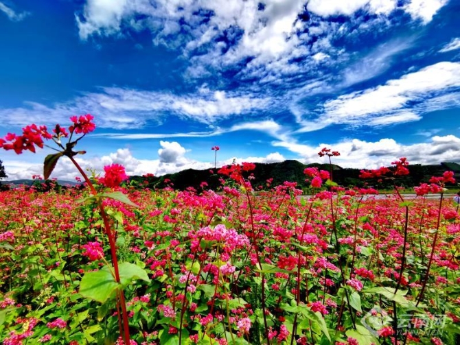 00301914987_f2fc8b1a 00301914987_f2fc8b1a