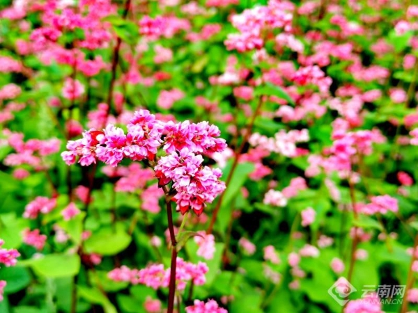 00301914984_cc69a82a 00301914984_cc69a82a