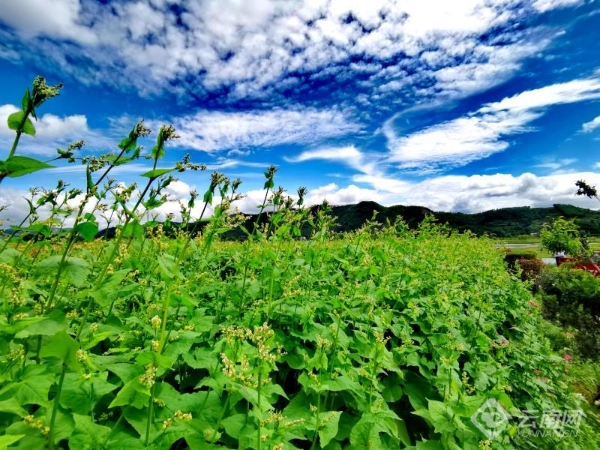 00301914988_9dcb4fc4 00301914988_9dcb4fc4