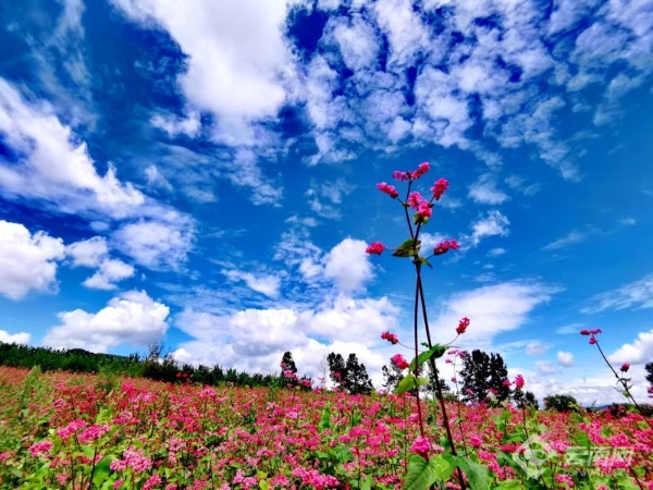 00301914986_4e58288c 00301914986_4e58288c