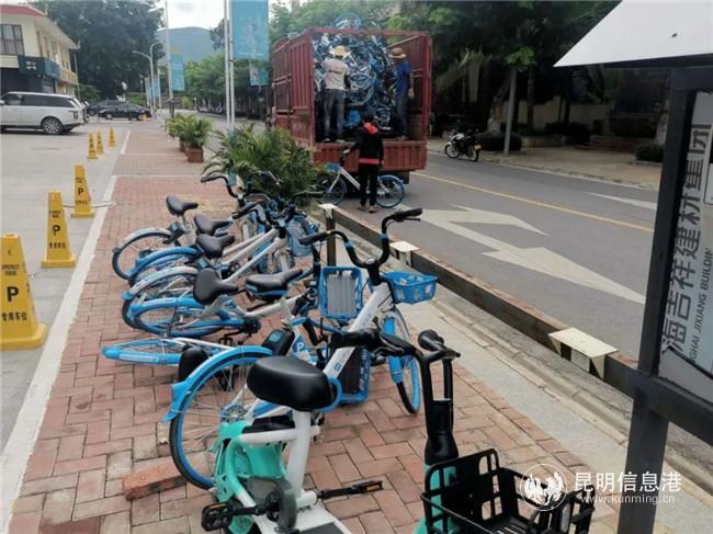 景洪市區(qū)的共享單車 景洪市區(qū)的共享單車