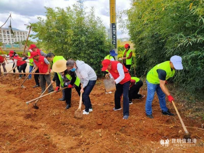 1b55d3300e458f8610e5567dab377fa