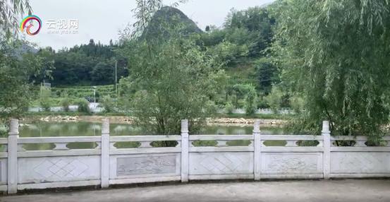 微博話題閱讀破億，全網(wǎng)點擊1.5億鎮(zhèn)雄社會扶貧直播火爆，助