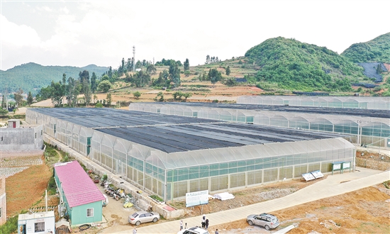 2020070905_res03_attpic_brief 2020070905_res03_attpic_brief