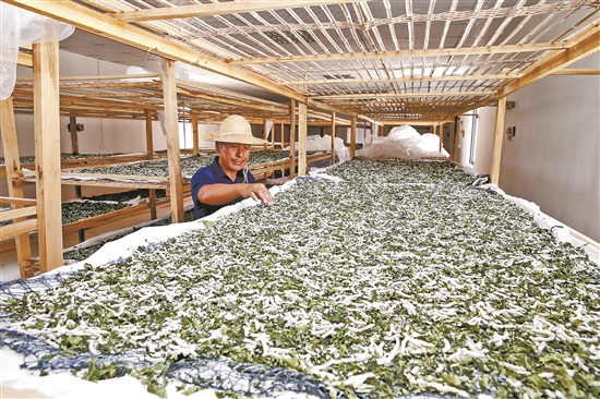 2020070905_res07_attpic_brief 2020070905_res07_attpic_brief