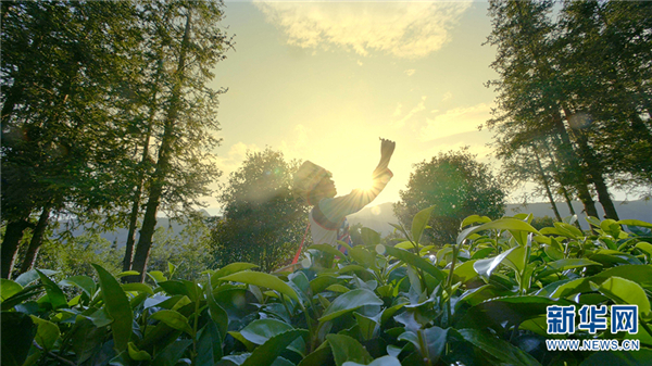 139197208_15941940025391n