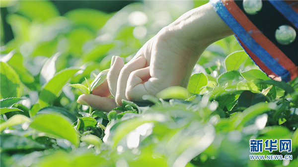 139197208_15941940026141n