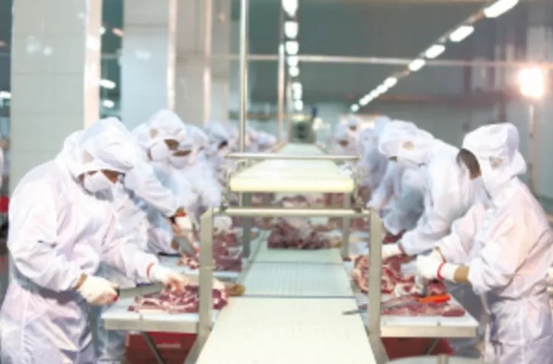 640.webp (2) 640.webp (2)