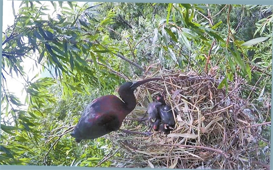 2020071104_res07_attpic_brief