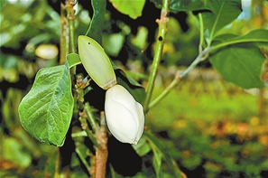 QQ截圖20200711100434 QQ截圖20200711100434