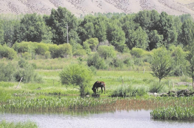 1594379266652161.png?x-oss-process=style/w10 1594379144(1).png?x-oss-process=style/w10