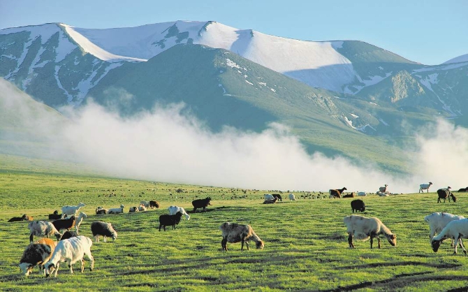 1594379304790865.png?x-oss-process=style/w10 1594379131(1).png?x-oss-process=style/w10