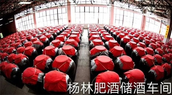 640.webp (4) 640.webp (4)