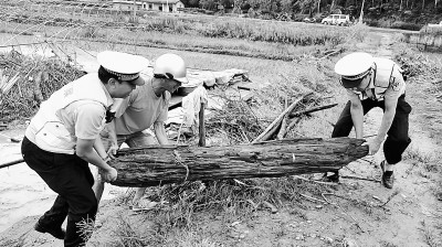 人民至上 生命至上——各地防汛抗洪一線見聞