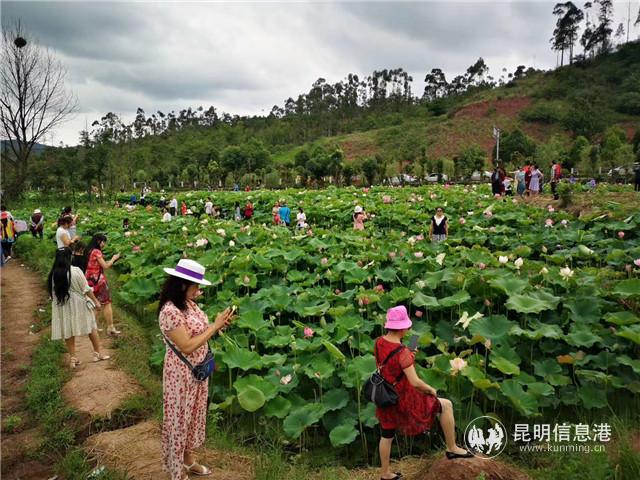 mmexport1594552469963