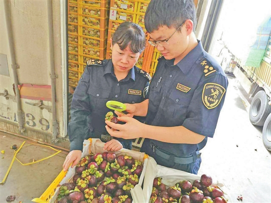 2020071306_res11_attpic_brief 2020071306_res11_attpic_brief