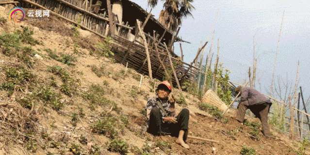 【直播預告】云嶺脫貧攻堅總決戰(zhàn) · 福貢直過民族展風采