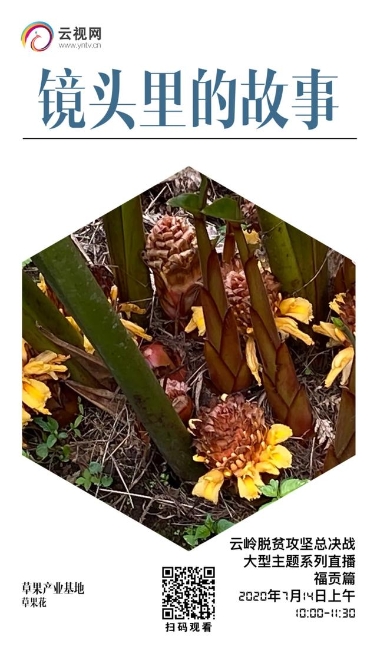 【直播預告】云嶺脫貧攻堅總決戰(zhàn) · 福貢直過民族展風采