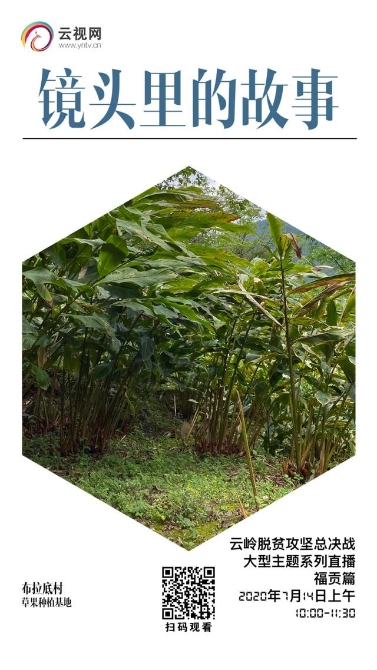 【直播預告】云嶺脫貧攻堅總決戰(zhàn) · 福貢直過民族展風采