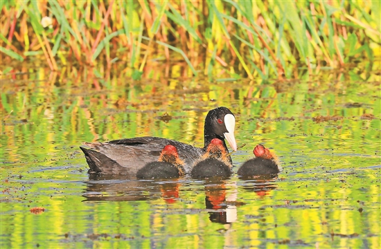 2020071403_res03_attpic_brief 2020071403_res03_attpic_brief