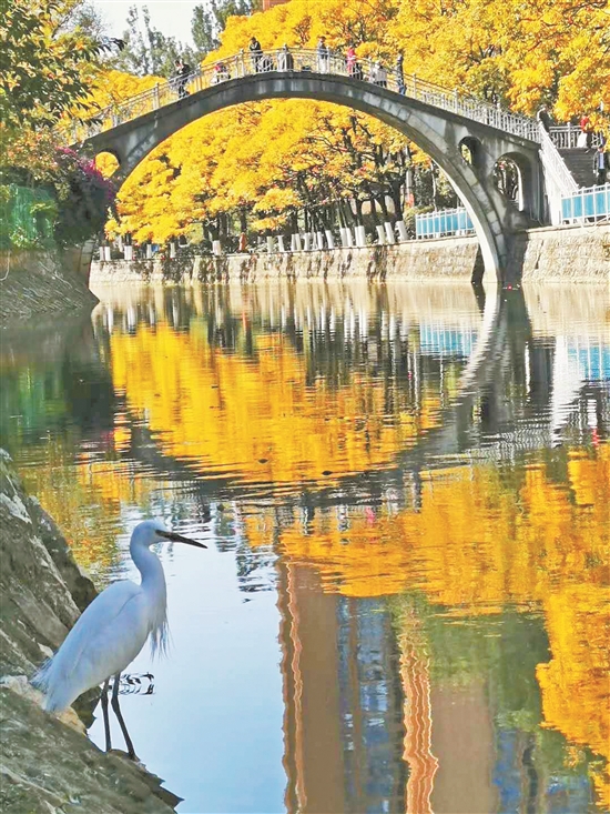 2020071407_res07_attpic_brief 2020071407_res07_attpic_brief