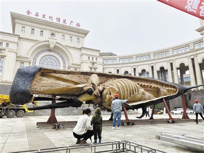 我國制成世界最大生物塑化標(biāo)本