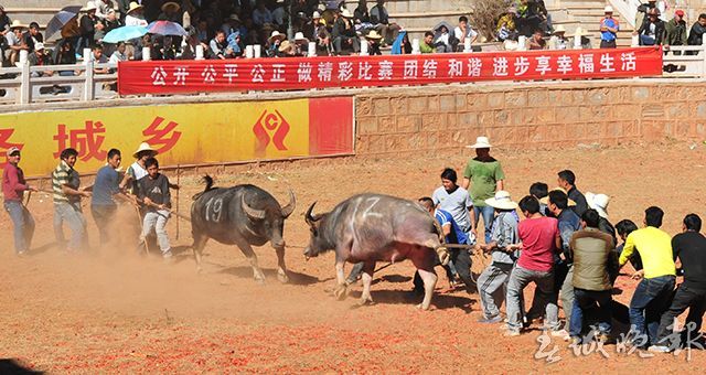 石林火把節(jié)開(kāi)幕TT