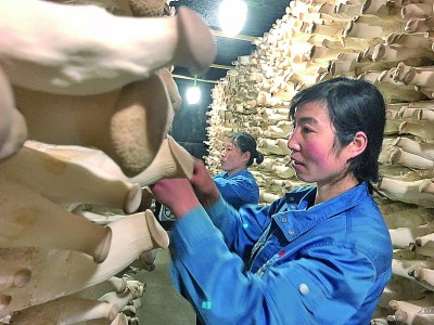 市場(chǎng)為媒，山海攜手譜新篇