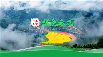 a1286724-70f3-4a98-b9ad-b8b7e46c0073 a1286724-70f3-4a98-b9ad-b8b7e46c0073