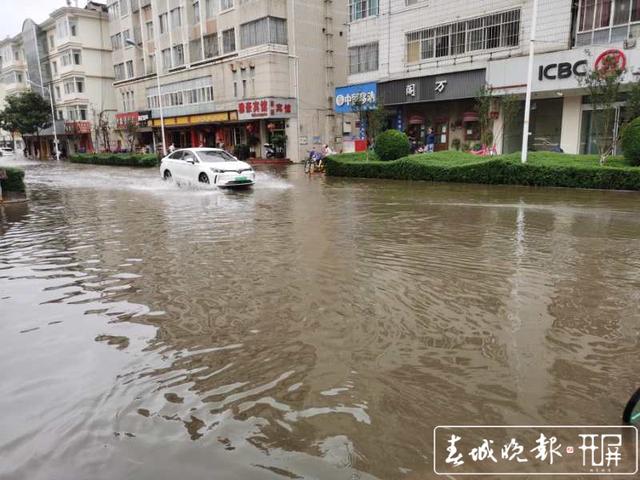 楊露 安康路 淹水