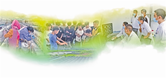 2020071605_res03_attpic_brief 2020071605_res03_attpic_brief