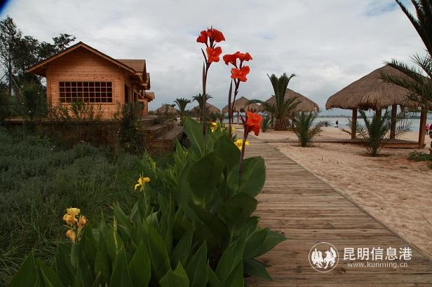 04南滇池國家濕地公園沙灘景色 04南滇池國家濕地公園沙灘景色