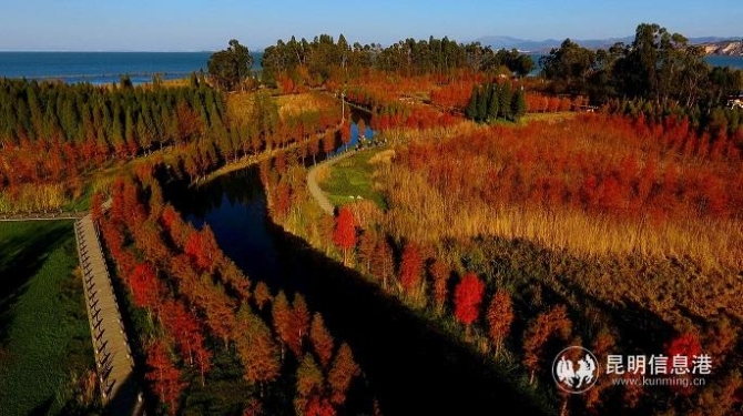 5南滇池國家濕地公園 5南滇池國家濕地公園