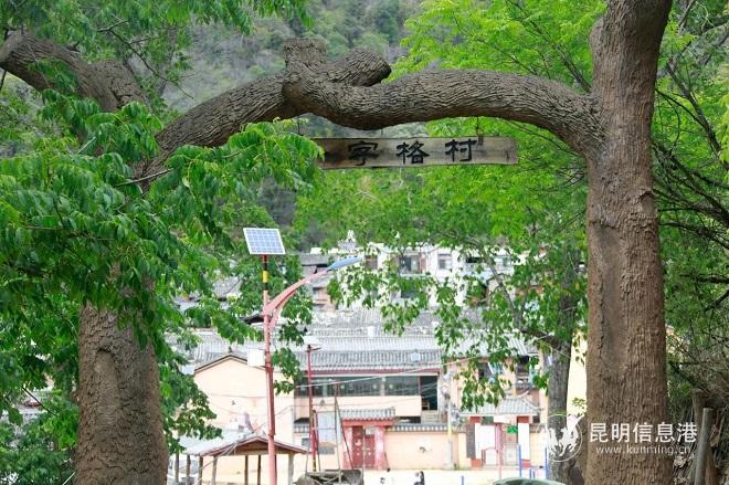 圖11 一字格村 圖11 一字格村