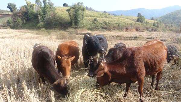 微信圖片_20200718074532.jpg?x-oss-process=style/w10