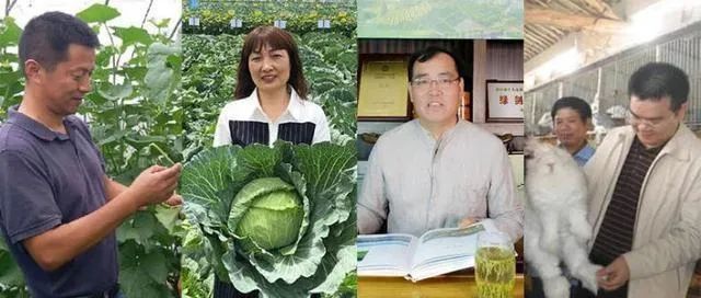 4位農(nóng)民評上了正高職稱，憑啥→