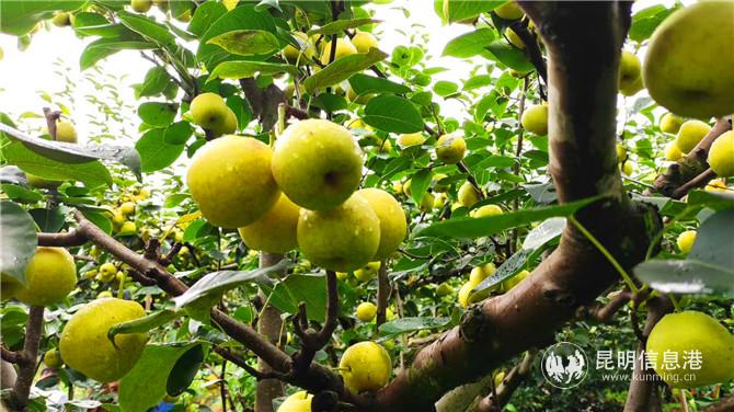 微信圖片_20200719194650