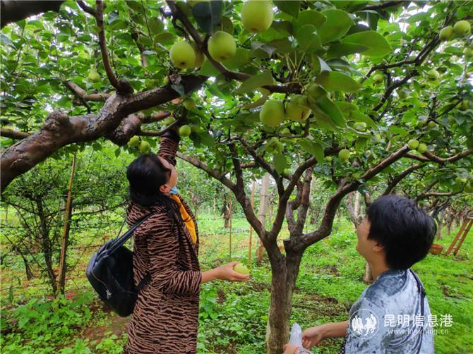 微信圖片_20200719195225