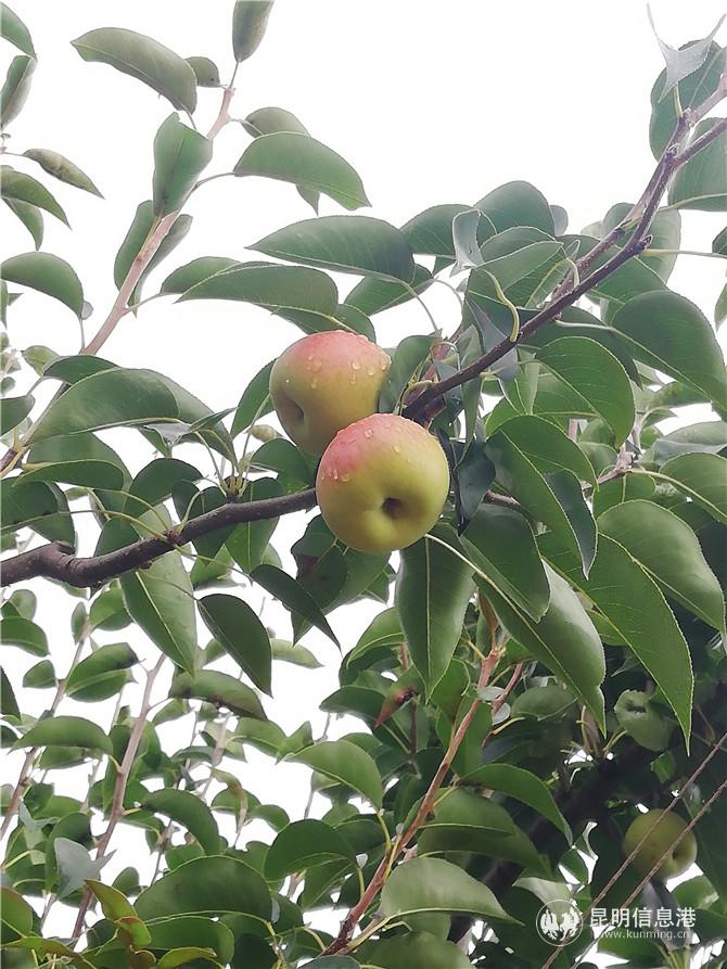 微信圖片_20200719195239