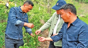 2020072003_res08_attpic_icon 2020072003_res08_attpic_icon